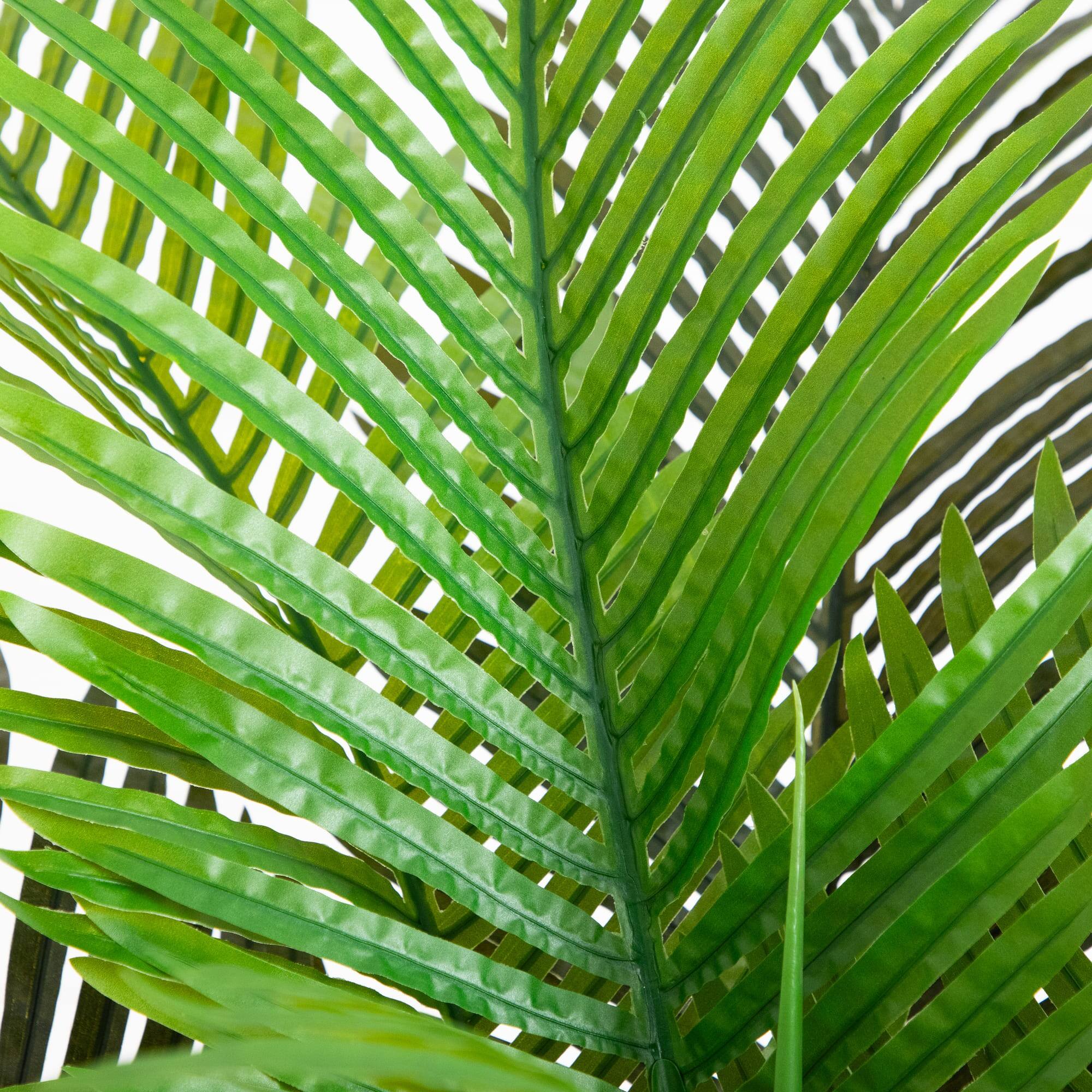 5ft. Potted Coconut Palm Tree